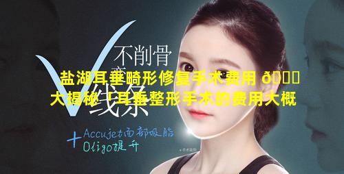 盐湖耳垂畸形修复手术费用 🐈 大揭秘「耳垂整形手术的费用大概是多少钱」